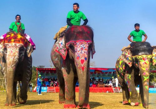 चितवनको सौराहामा आजदेखि हात्ती तथा पर्यटन महोत्सव सुरु हुँदै